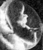 Дечији сајтови 3